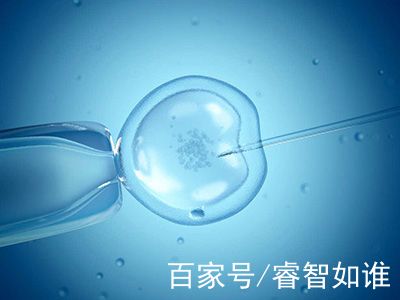 智能实验室